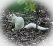 2016 06 11 WildLife MPLS 075
